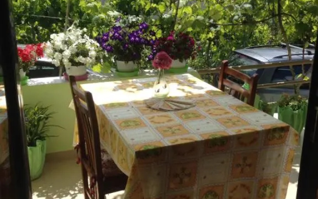 Guesthouse Aleksander