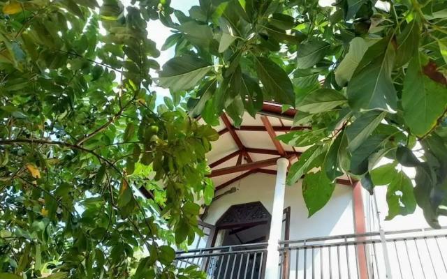 Homestay 24