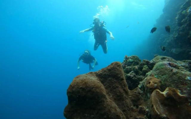 4 Sisters Divers