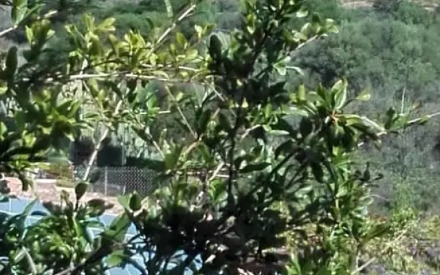 B&B Il melograno