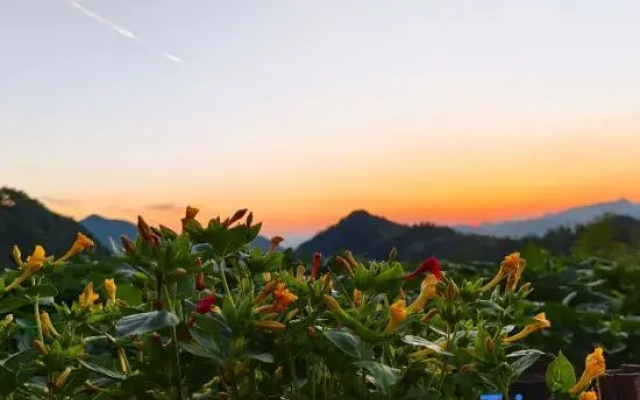 Xingqing Homestay