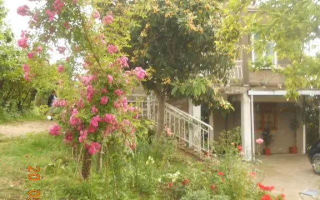Guest house na Myasnikova