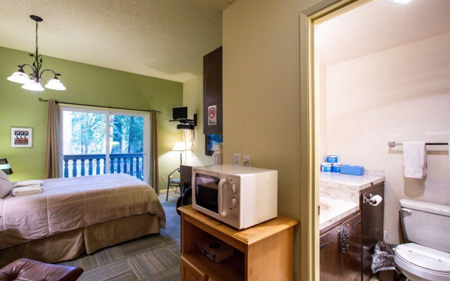 Mt Baker Lodging Condo 77 - Sleeps 2