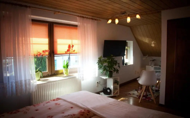 Gästezimmer im Grünen Haus
