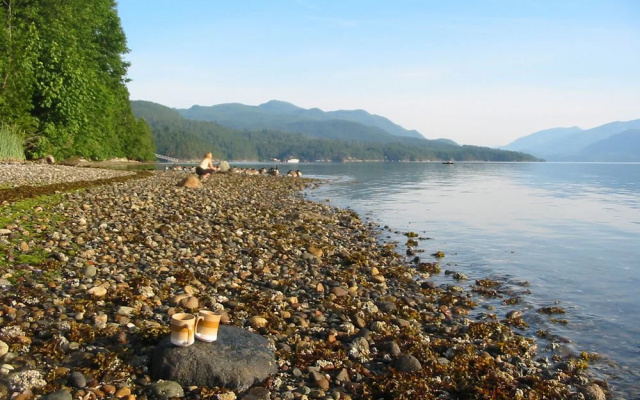Beachcomber B&B