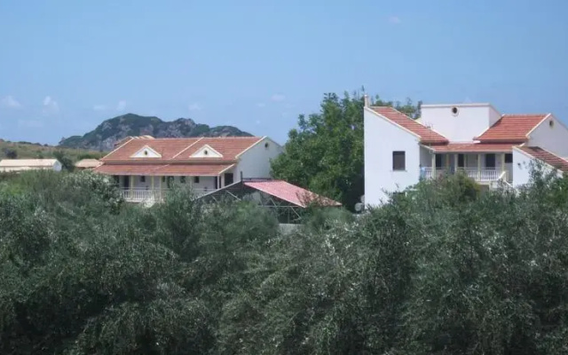 Alexandros Walnuttree Arillas Corfu