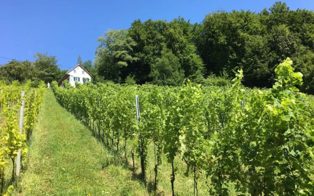 Bio-Weingut Leitner