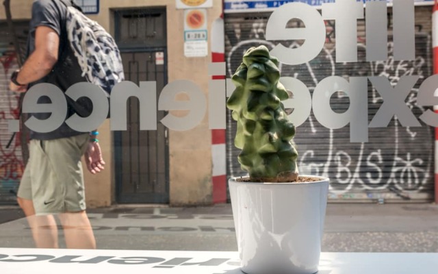 Sant Jordi Hostel Gracia вид на фасад