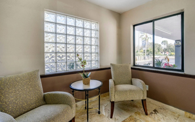 Rodeway Inn Clearwater - Dunedin