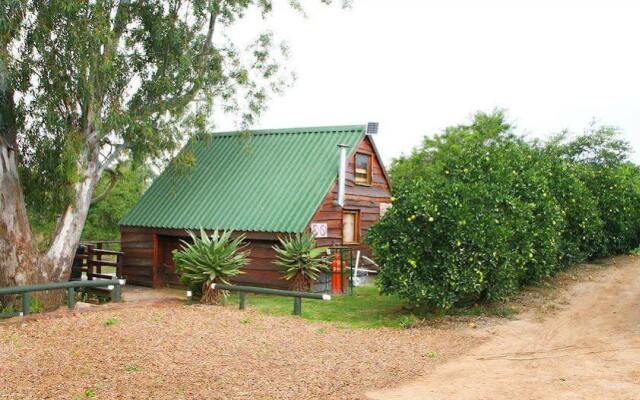 Отель Kelvin Grove Guest House Южная Африка, Аддо - отзывы, цены и фото номеров - забронировать отель Kelvin Grove Guest House онлайн вид на фасад