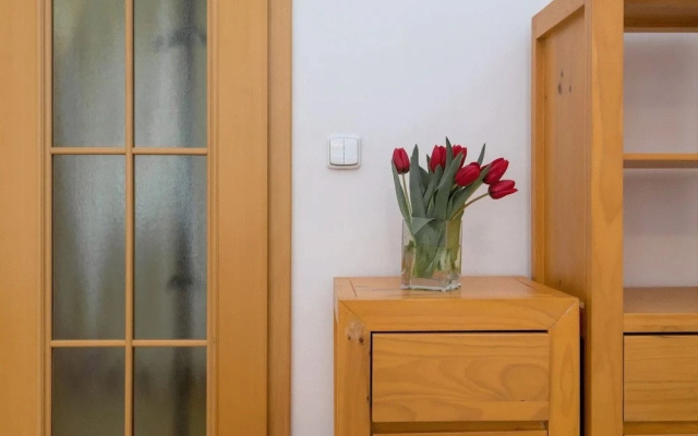 Spasious Apartment in Prague