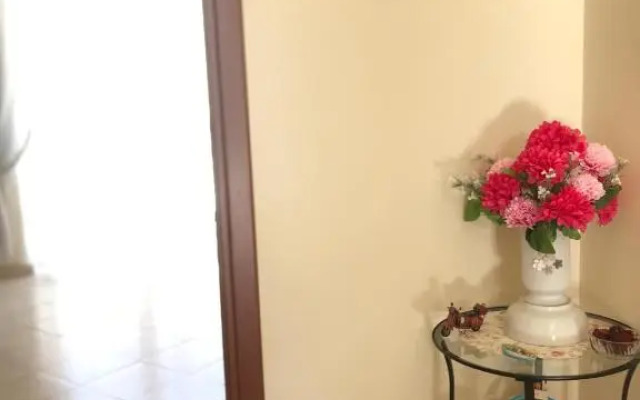 Oplonti suite