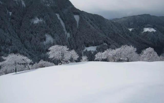 Appartment Kirch Neuhaus