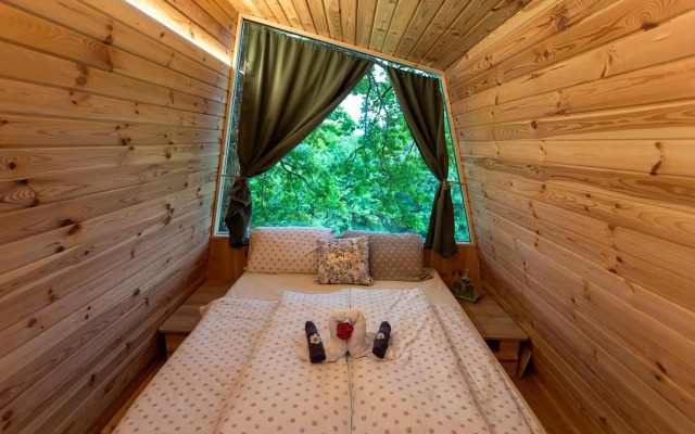 Glamping Health Resort