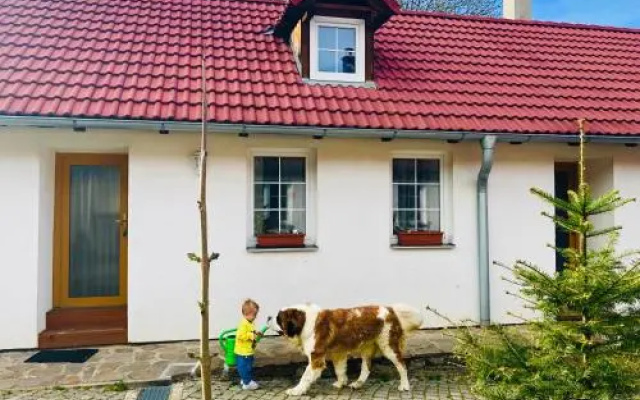 Apartmány Jílovice