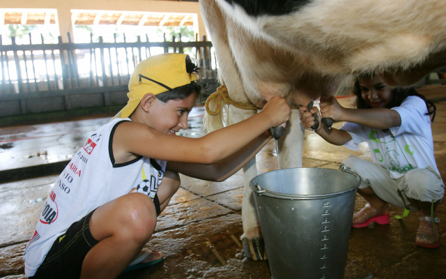 Estalagem Fazenda Lazer