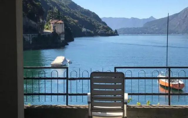 gli oleandri