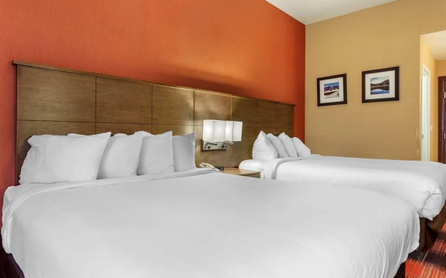 Comfort Inn Flagstaff Lucky Lane I-40