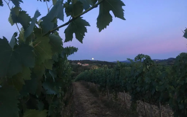 Teruzzi Country House