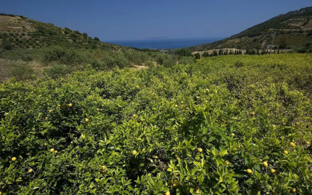 La Collina degli Ulivi - Casa Ulivi 1
