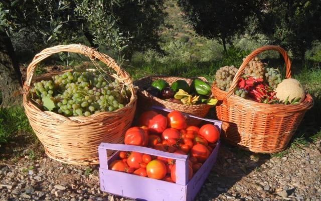 Agriturismo Campo di Luna