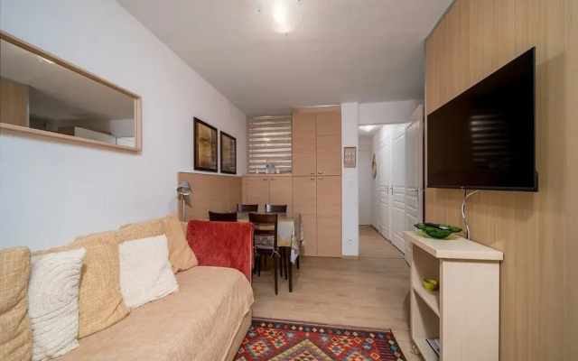 Apartment in France With Ski-in Access