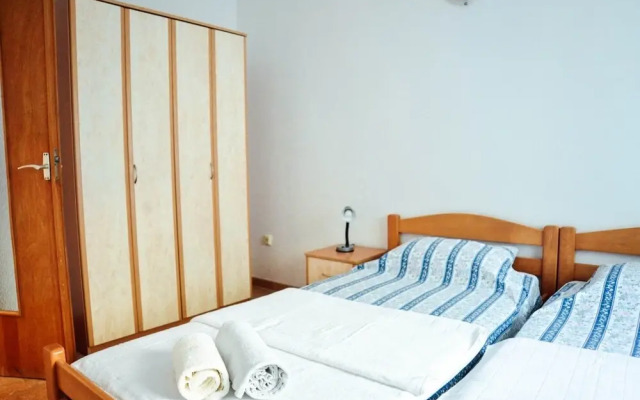 Waterfront Apartment Petrovina