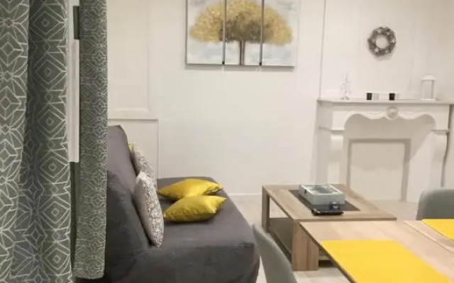 Charmant appartement T2 plein centre ville