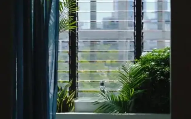 Holi Terrace House