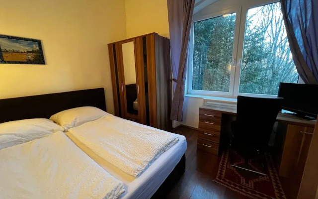Villa Wellspacher - Renovated 19th Century Villa