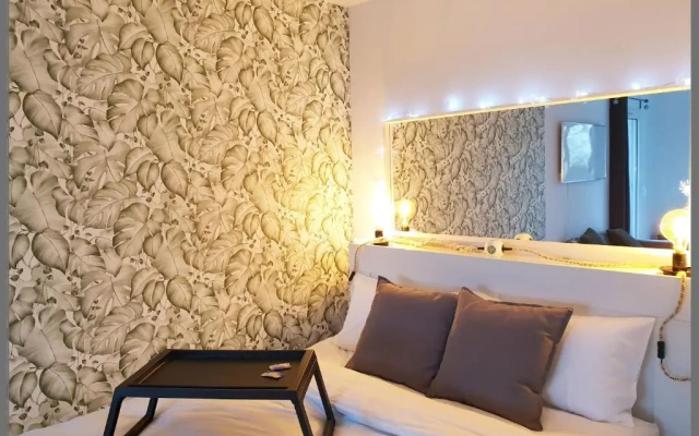Cosy Case between Disney and Paris