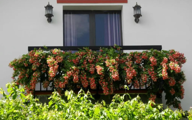 Hoian Aroma Villa