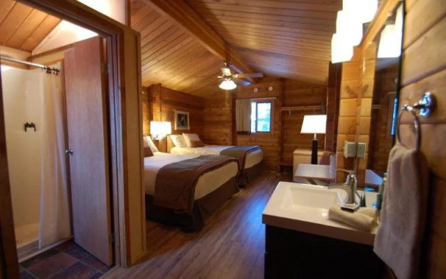 Denali Cabins