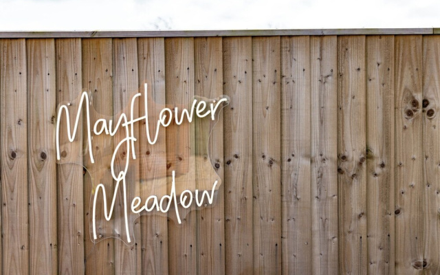 Andrus - Mayflower Meadow