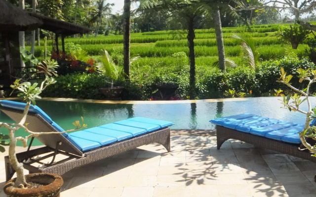 Villa Orchid Bali