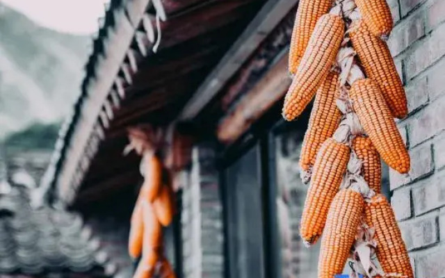 Beijing Woofeng Rushe Homestay
