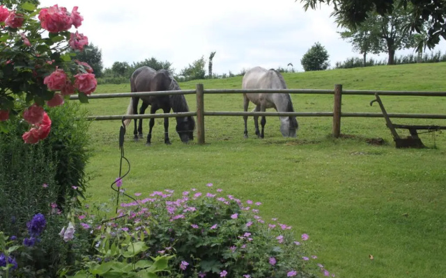 Countryhouse Zuid-Limburg