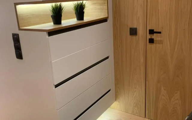 Luxurious One Bedroom Studio in Top Center