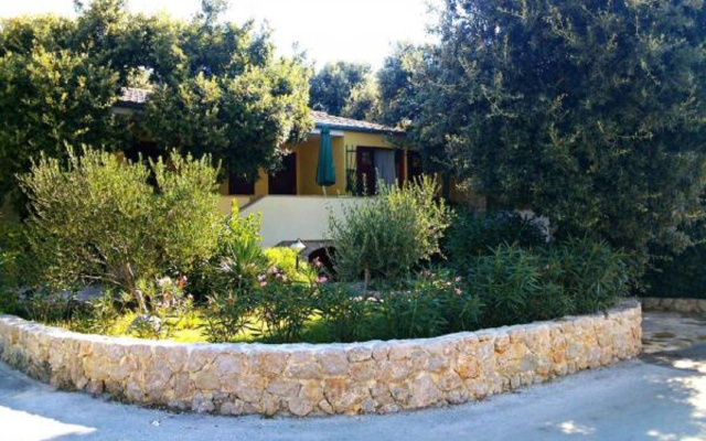 Apartment Mis - apartments close to sea: A1 Petrcane, Zadar riviera