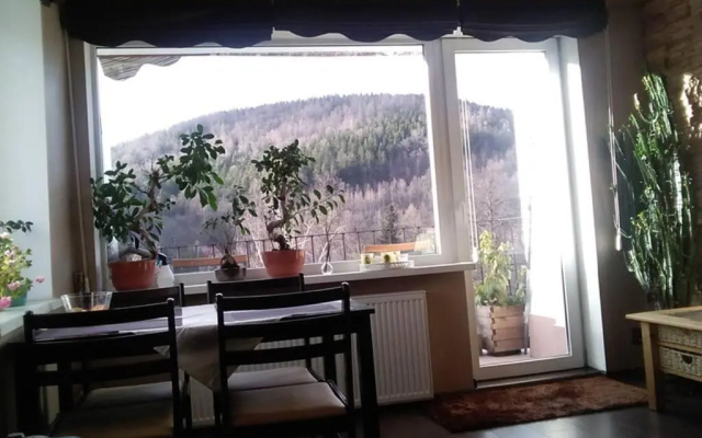 Apartament rodzinny 2 pokojowy. Widok na Snieżke.