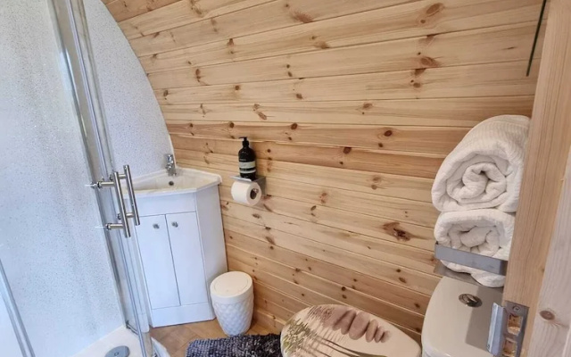 Forester's Retreat Glamping - Dinas View