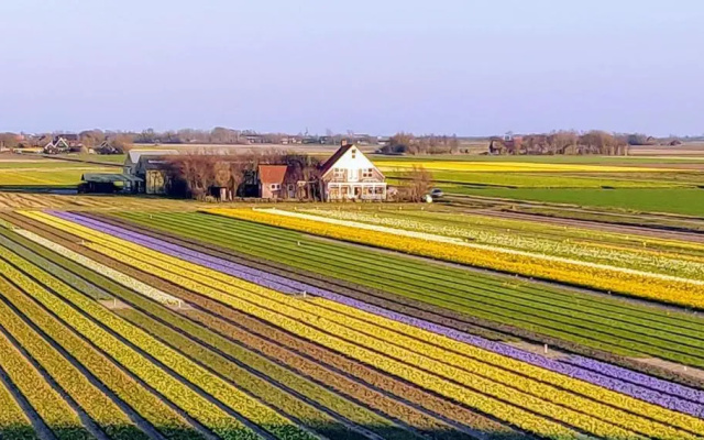 Vakantiebungalow Texel