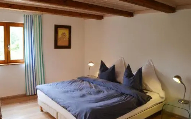 Chat au Grumbach