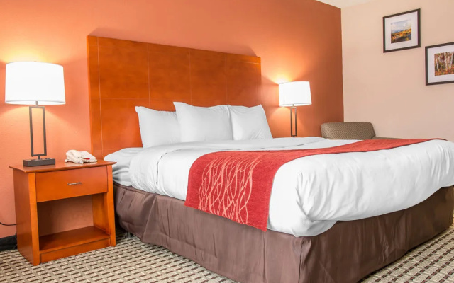 Comfort Inn Muskegon