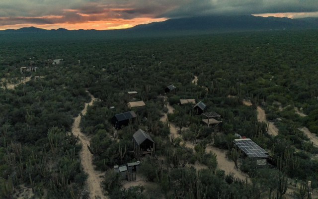 Cactacea Hidden Villas