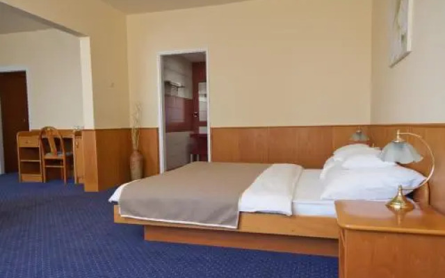 Hotel Bodrog Wellness