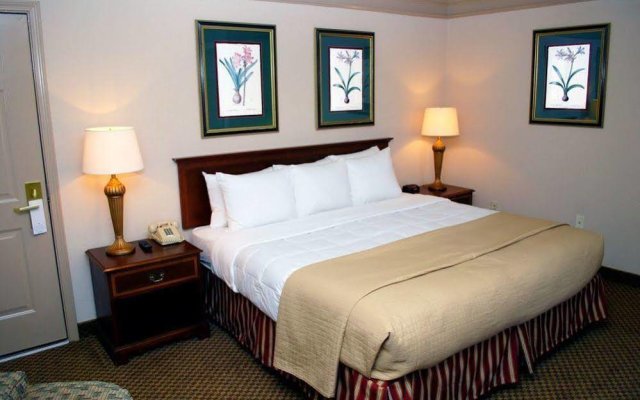 Clarion Inn & Suites Atlanta Downtown 1