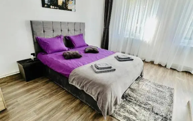 Silver House Rasnov