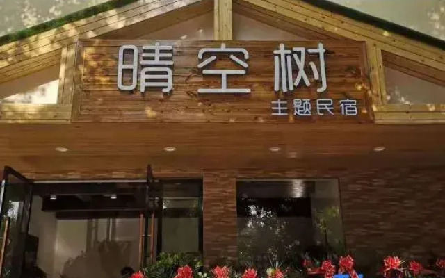 Xiaogan Qingkongshu Themed Homestay
