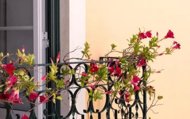 Pateo Santo Estevao-Self Catering Apartments
